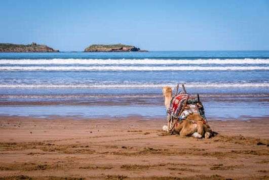 Afrika_Marokko_Essaouira_beach