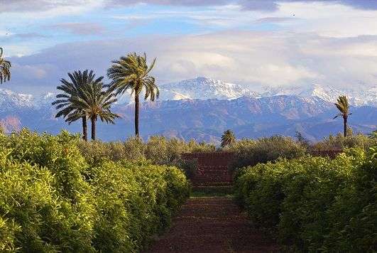 Agdal_Marrakech-900x600-min